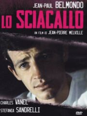 Sciacallo, Lo