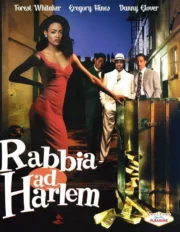 Rabbia ad Harlem (Blu Ray)